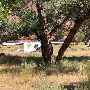 Meet your Posher, Tom